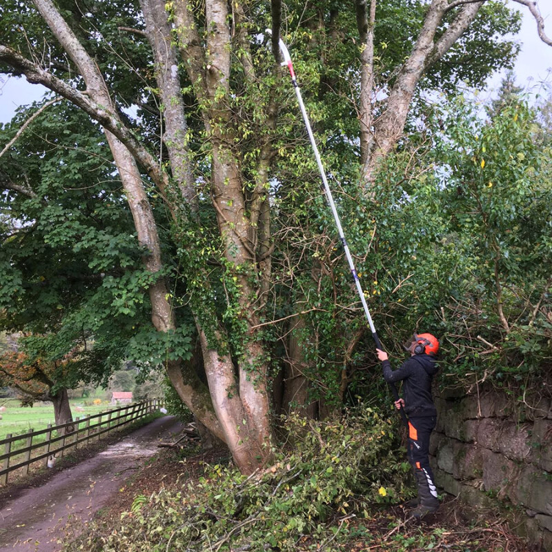 Stallion 6.3m Telescopic Pruning Polesaw