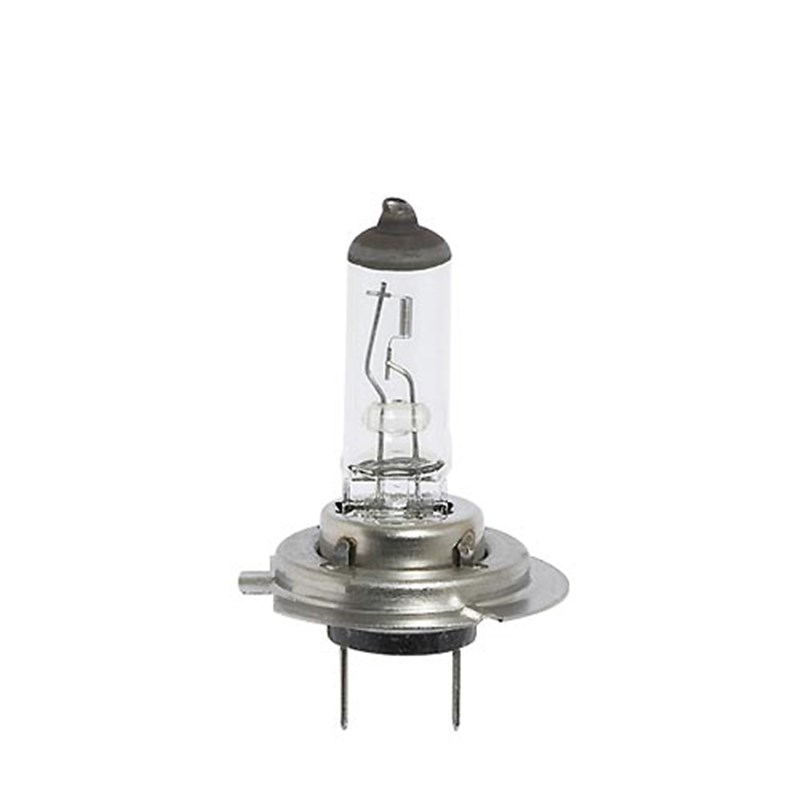 24v Halogen Bulb (499A. H7) 70 Watt, single contact